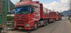 FAW Jiefang J7 550 hp 6X4 - фото 2