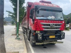 SAIC Hongyan Genlyon 450 hp 8X4 8.6 m - фото 3