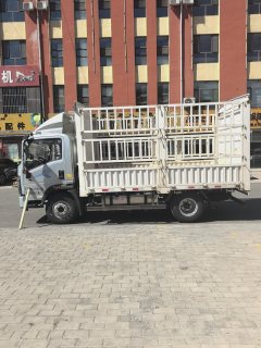 SINOTRUK HOWO Light Duty Truck Commander 190 hp 4X2 4.15 m - фото 2