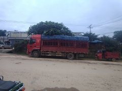 Dongfeng Liuzhou Chenglong H5 260 hp 4X2 6.8 m - фото 1