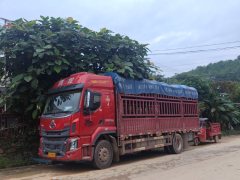 Dongfeng Liuzhou Chenglong H5 260 hp 4X2 6.8 m - фото 2
