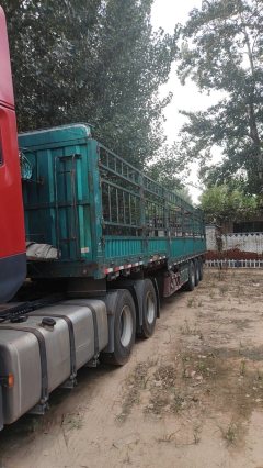 Dongfeng Tianlong KL 465 hp 6X4 - фото 3