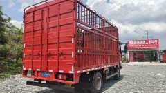 MAN Pioneer 170 hp 4X2 3.85 m - фото 4