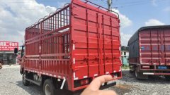 MAN Pioneer 170 hp 4X2 3.85 m - фото 8
