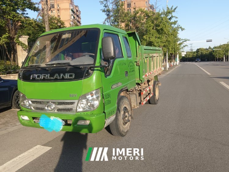 2019 Foton Rowor Little King Kong 88 hp 4X2 3.3 m