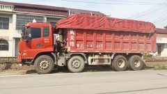 Dongfeng Tianjin 310 hp 8X4 6.8 m - фото 1