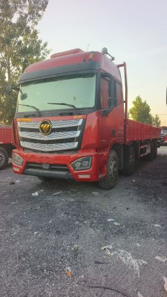 Foton Auman EST 460 hp 8X4 9.45 m - фото 1