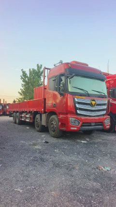 Foton Auman EST 460 hp 8X4 9.45 m - фото 4