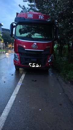 Dongfeng Liuzhou Chenglong H5 320 hp 4X2 9.6 m - фото 2