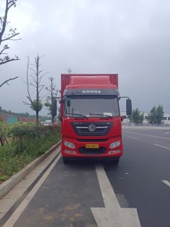 Dongfeng Tianjin KR 290 hp 4X2 9.8 m - фото 2