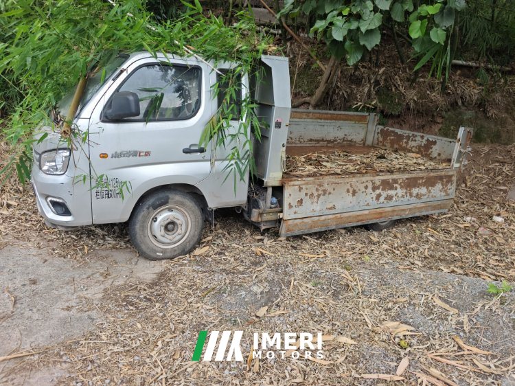 2022 Foton Rowor Little King Kong 95 hp 4X2 3.3 m