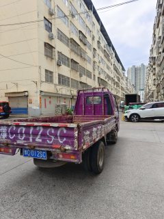 Foton 88 hp 4X2 3.05 m - фото 5