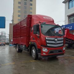 Foton Aumark S1 185 hp 4X2 4.17 m - фото 3