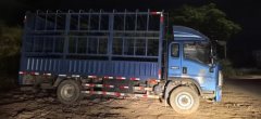 SINOTRUK HOWO Light Duty Truck Hanjiang 170 hp 4X2 5.2 m - фото 1