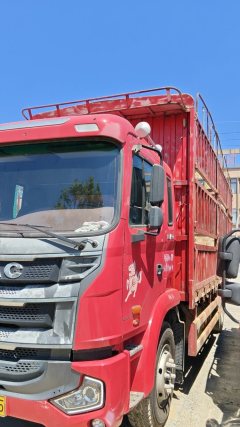 JAC Gallop Gelfa A5 220 hp 4X2 6.8 m - фото 2