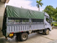 BYD T5 4.2 m - фото 3