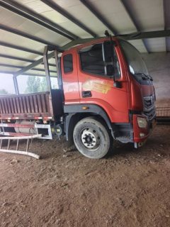 Foton Ollin Hornet 210 hp 4X2 5.75 m - фото 3