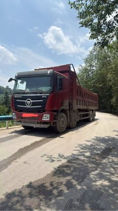 Foton Auman ETX 430 hp 8X4 8.6 m - фото 1