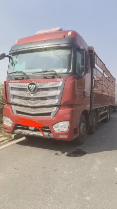 Foton Auman EST 428 hp 8X4 9.6 m - фото 1