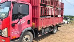 FAW Jiefang Tiggo V 160 hp 4X2 4.2 m - фото 6