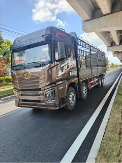 FAW Jiefang JH6 460 hp 8X4 9.4 m - фото 1