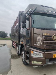 FAW Jiefang J6P 460 hp 8X4 9.4 m - фото 2