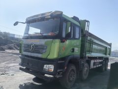 Shacman Delong X3000 460 hp 8X4 8 m - фото 2