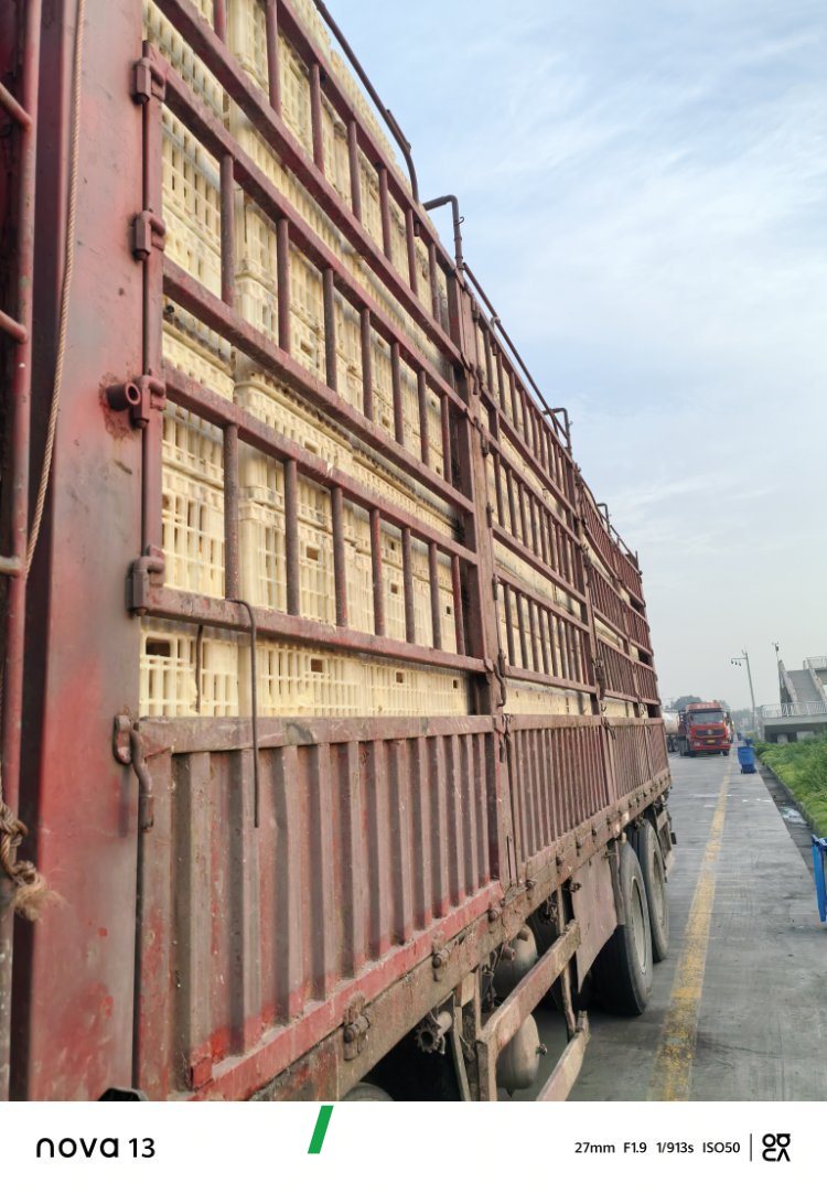 Dongfeng Liuzhou Chenglong H7 480 hp 8X4 9.6 m - грузовик из Китая