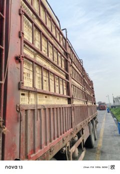 Dongfeng Liuzhou Chenglong H7 480 hp 8X4 9.6 m - фото 1