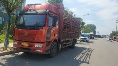 FAW Jiefang J6L 240 hp 4X2 6.2 m - фото 3