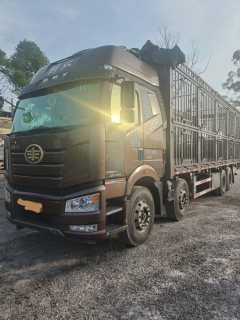 FAW Jiefang J6P 460 hp 8X4 9.5 m - фото 2