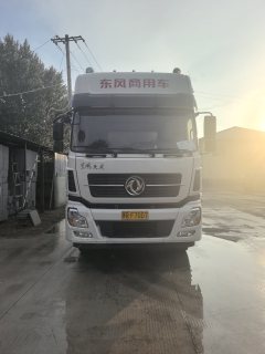 Dongfeng Tianlong 245 hp 4X4 8.6 m - фото 2