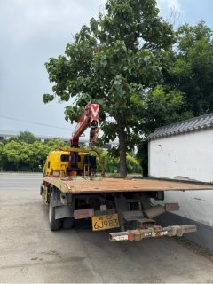 Foton Aumark S3 190 hp 4X2 7.2 m - фото 4
