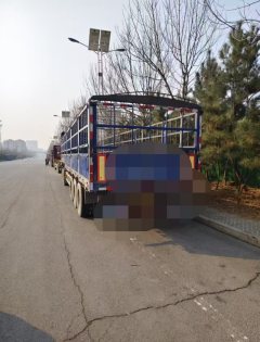 13 m x2.55 m 3 stake body semi-trailer - фото 1