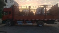 Dongfeng Duolika D9K 220 hp 4X2 6.8 m - фото 1