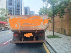 Foton Rowor (ES5) 200 hp 4X2 4 m - фото 3