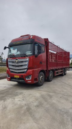 Foton Auman EST 460 hp 8X4 9.53 m - фото 1