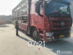 Foton Auman GTL 320 hp 6X2 9.56 m - фото 1