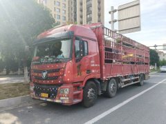 Foton Auman GTL 320 hp 6X2 9.56 m - фото 2
