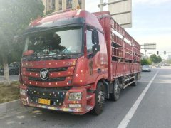 Foton Auman GTL 320 hp 6X2 9.56 m - фото 3