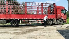 Foton Auman GTL 320 hp 6X2 9.56 m - фото 4