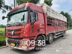 Foton Auman GTL 320 hp 6X2 9.56 m - фото 5