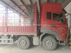 Dongfeng Tianlong 420 hp 8X4 9.6 m - фото 1
