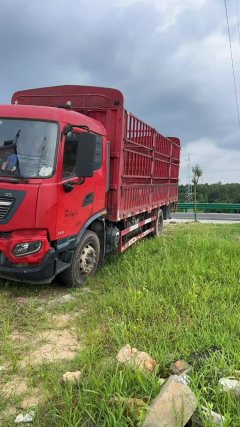 Dongfeng Tianjin KR 245 hp 4X2 6.75 m - фото 2