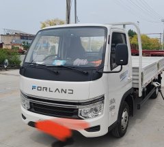 Foton Forland Navigator S1 4.17 m - фото 4
