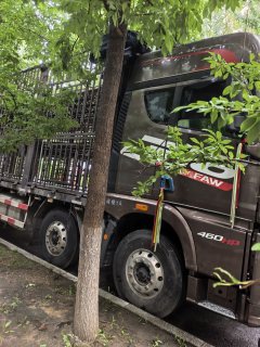 FAW Jiefang JH6 460 hp 8X4 9.6 m - фото 2
