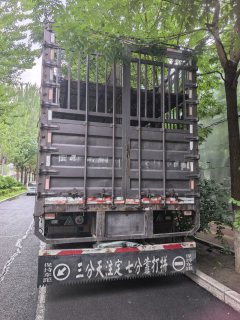 FAW Jiefang JH6 460 hp 8X4 9.6 m - фото 3