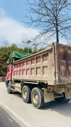 SAIC Hongyan Genlyon 450 hp 6X4 6 m - фото 3