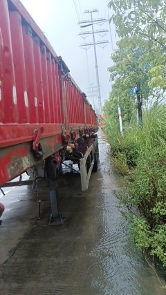 13 m x2.5 m 3 semi-trailer - фото 3
