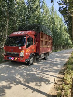 SINOTRUK HOWO Light Duty Truck Hanjiang 170 hp 4X2 3.85 m - фото 1
